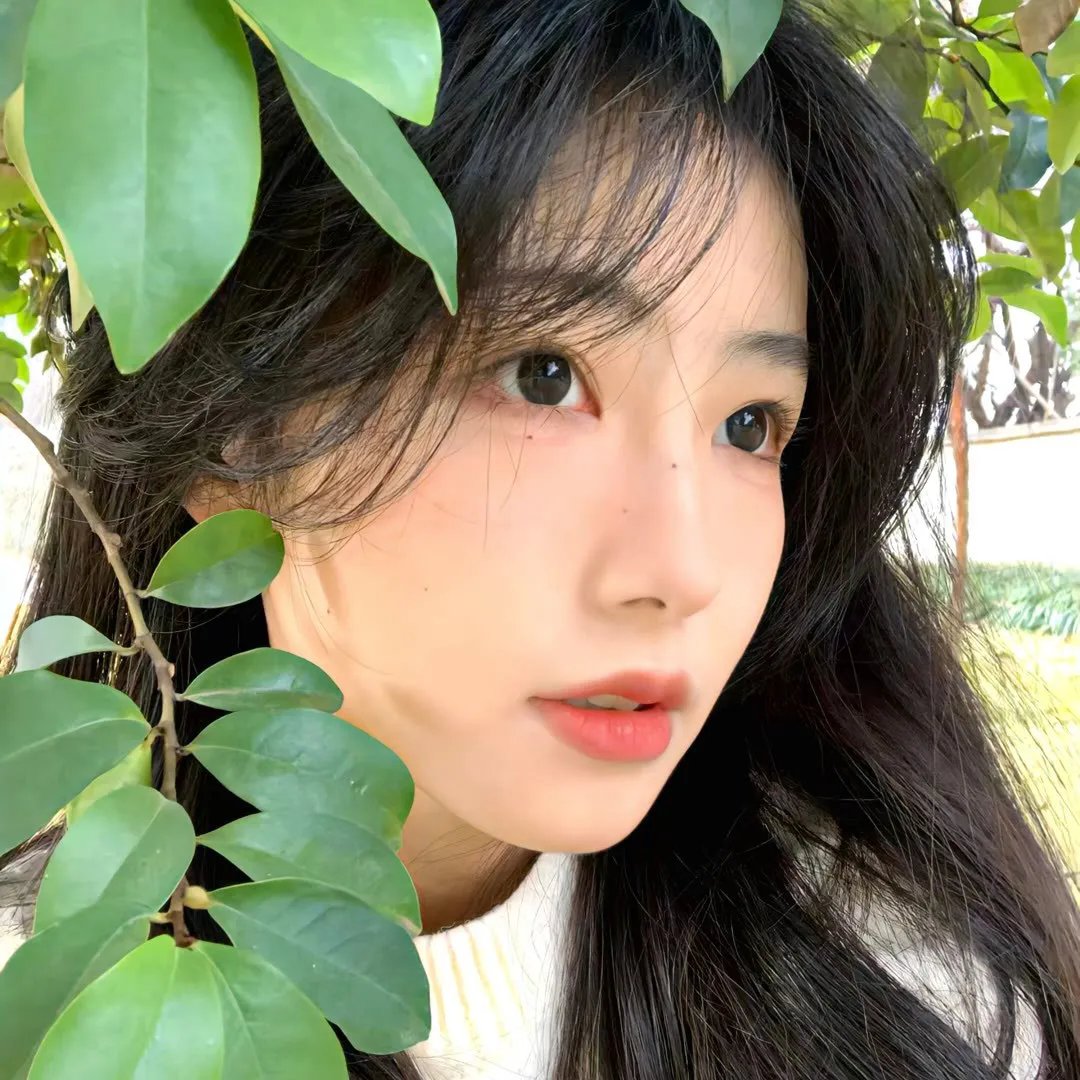 剧终集