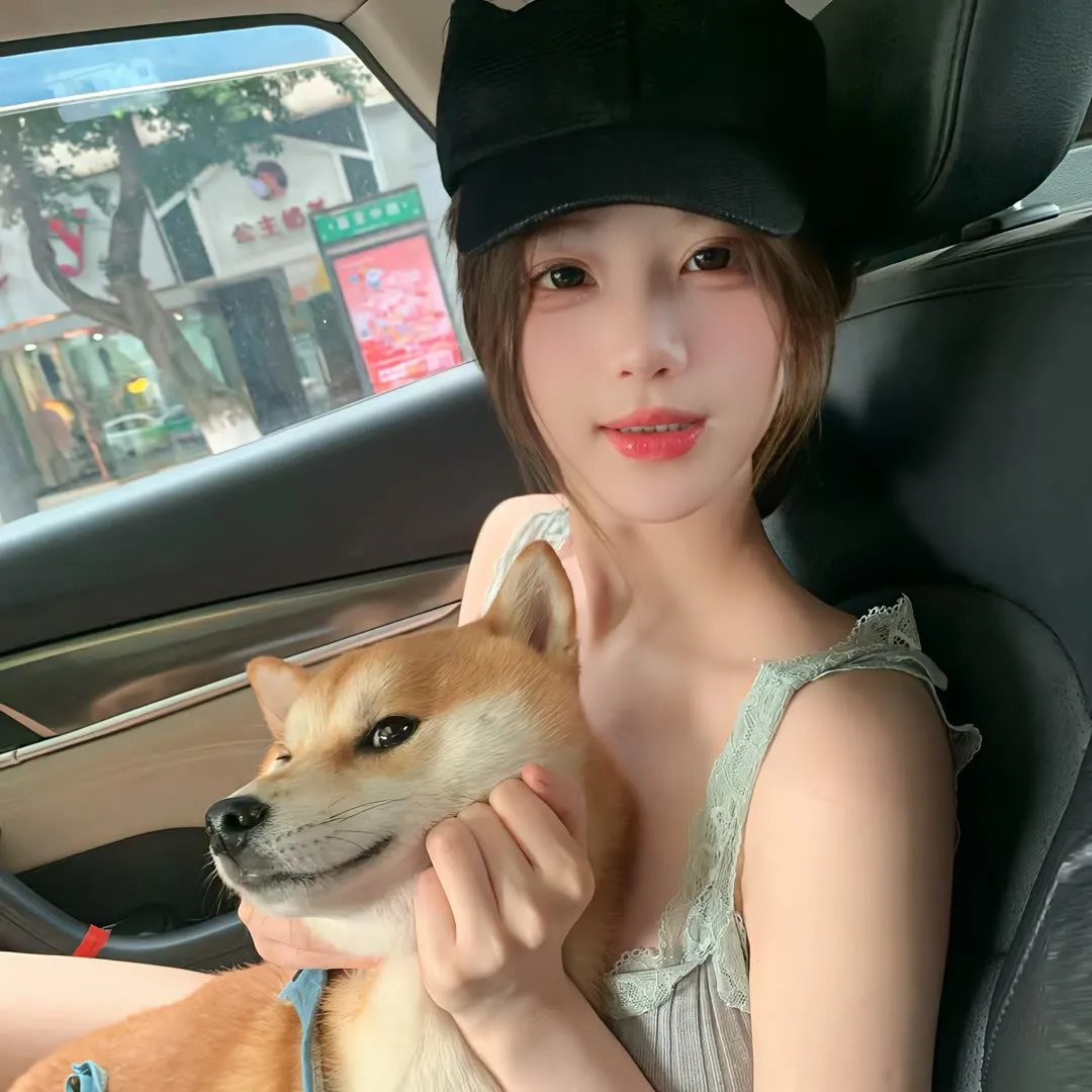 权少的贴身翻译官